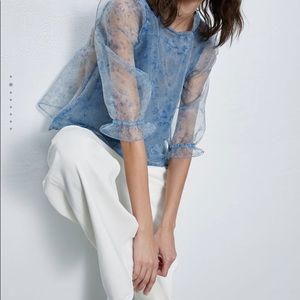 Zara Organza Top - Brand New